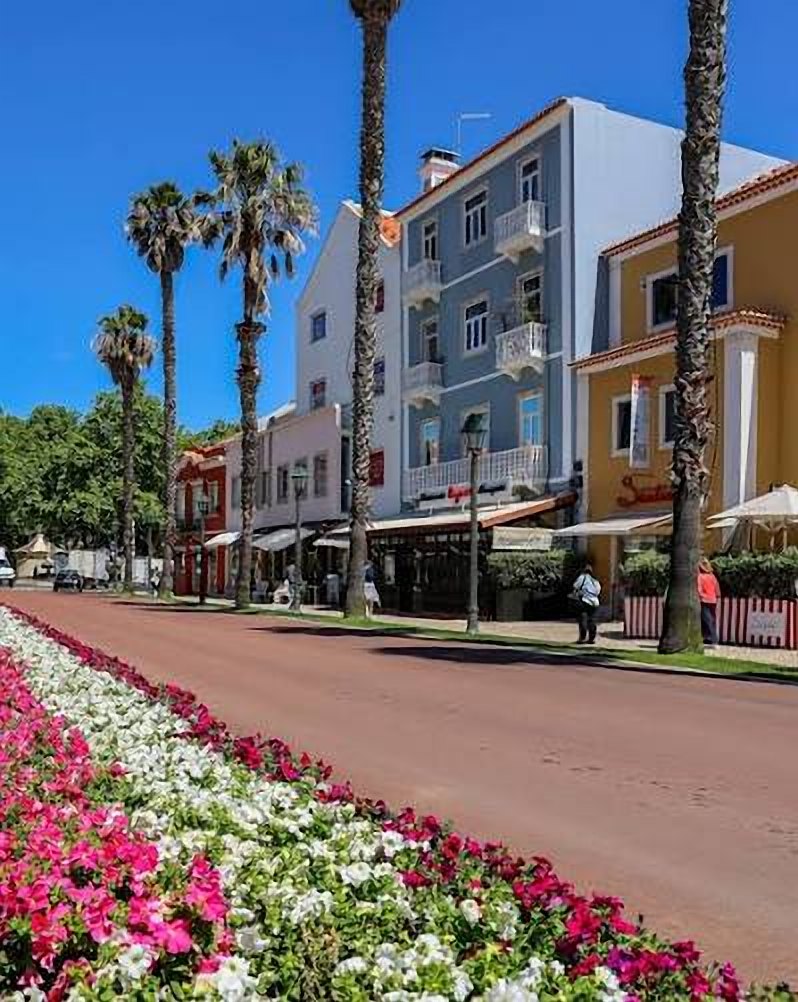 Avenida com palmeiras no centro de Cascais
